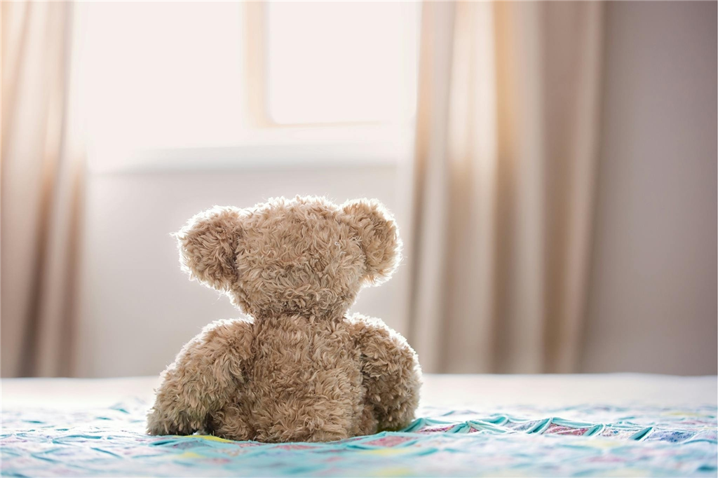Teddy Bear