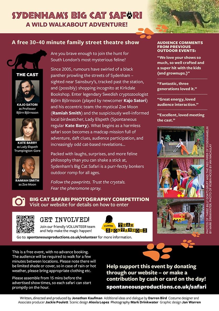 SP big cat flyer 2