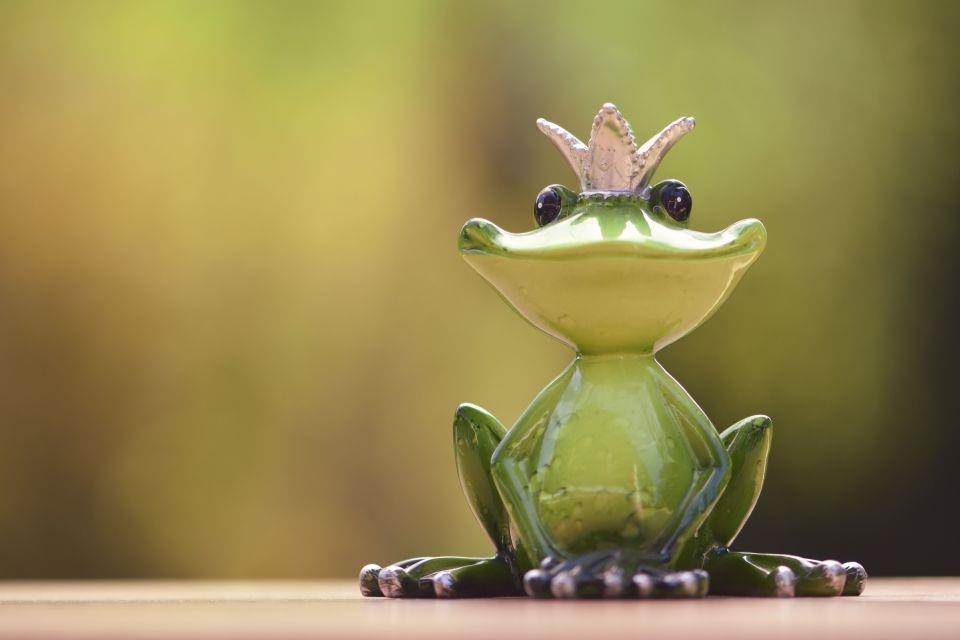 Frog wearing crown
