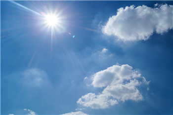 Summer Sunshine
