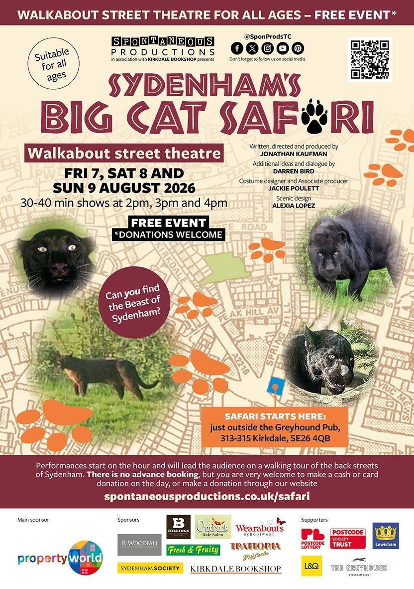 SP big cat flyer