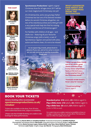 Christmas Panto back flyer
