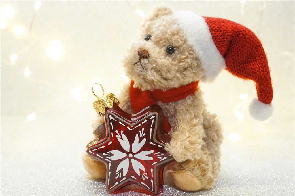 Christmas Teddy