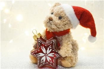 Christmas Teddy