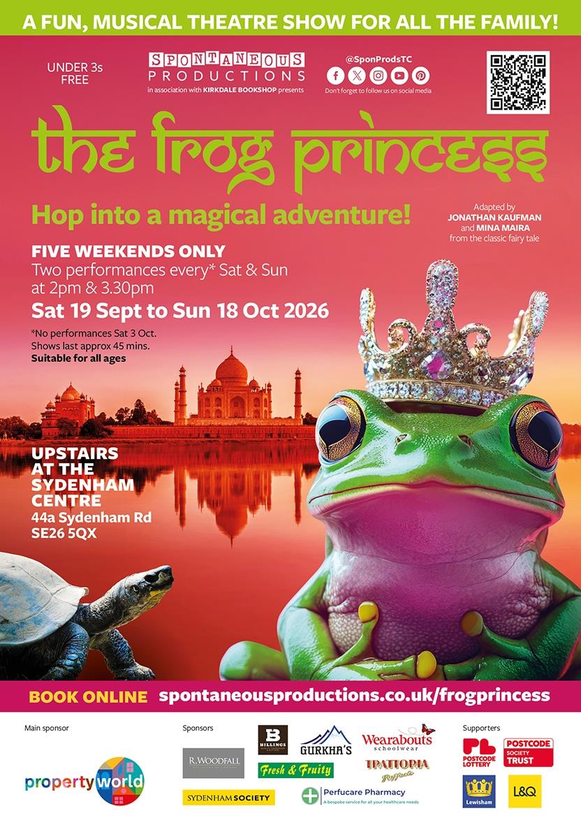 Frog Princess Flyer front