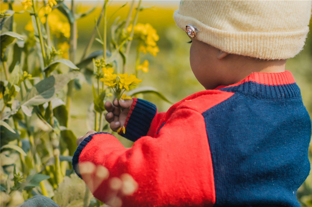 Toddler picking flowers