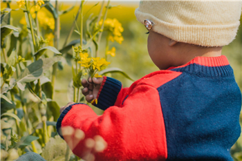 Toddler picking flowers