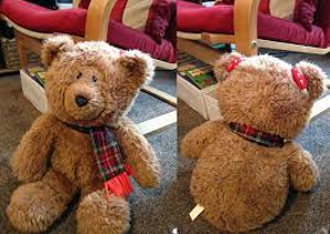 Hearing Aid Teddy Bear