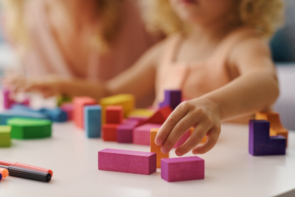 an image of a mum and a child playing with building blocks